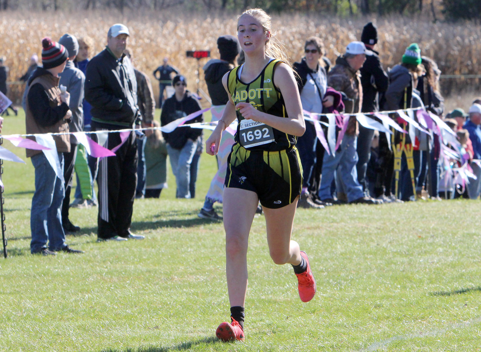 Division 3 Cross Country Sectionals in Boyceville 10-26-19